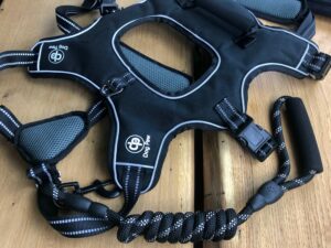 Dog Paw Hundegeschirr, Bild 2
