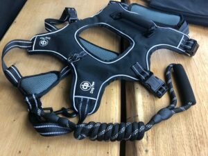Produktbild Hundegeschirr von Dog Paw