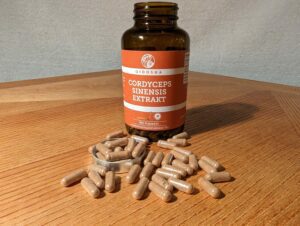 Produktbild Vitalpilz Cordyceps sinensis (CS-4) Extrakt von QIDOSHA®