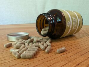 Produktbild Ginkgo Biloba 50:1 Extrakt Kapseln hochdosiert von QIDOSHA