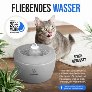 Cozy Paws Trinkbrunnen, Bild 2