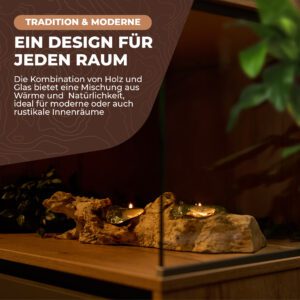 AIPa Living Glas auf Holzwurzel, Bild 3