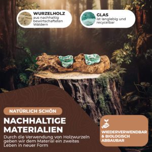 AIPa Living Glas auf Holzwurzel, Bild 5