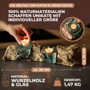 AIPa Living Glas auf Holzwurzel, Bild 7