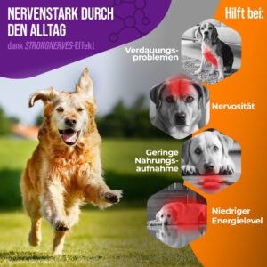 Produktbild K1 Vitamin B Komplex von NatiVivo