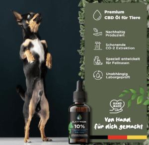 Produktbild CBD Pflegeöl für Tiere von Blattwerk360