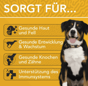 ENEMEL Multivitamin für Hunde, Bild 4