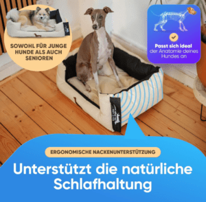 Hundebett Who LED the dogs out?, Bild 2