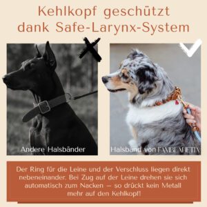 Famblanetia Hundehalsband, Bild 2