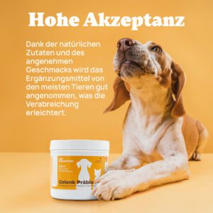 Pet Pawsition Nahrungsergänzungsmittel für Hunde & Katzen, Bild 5