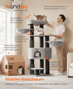Feandrea Kratzbaum, Bild 3