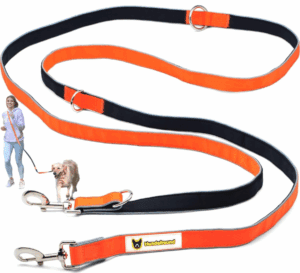 Produktbild Hundeleine – Multifunktionsleine von Hundefreund