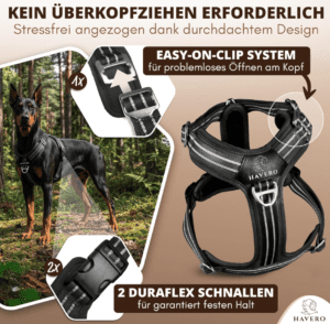 HAVERO Hundegeschirr, Bild 2