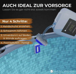 Nasswerk Algizid für Pool, Bild 5