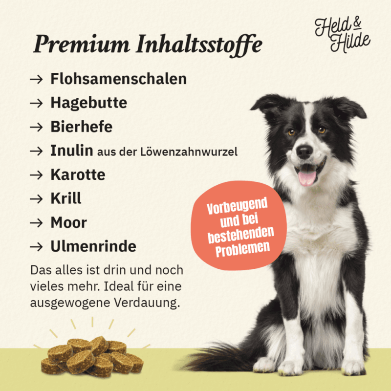 04_Darm-Inhaltsstoffe