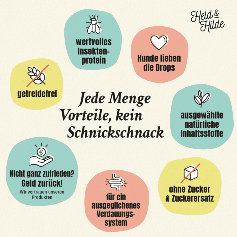 05_Darm-Schnickschnack