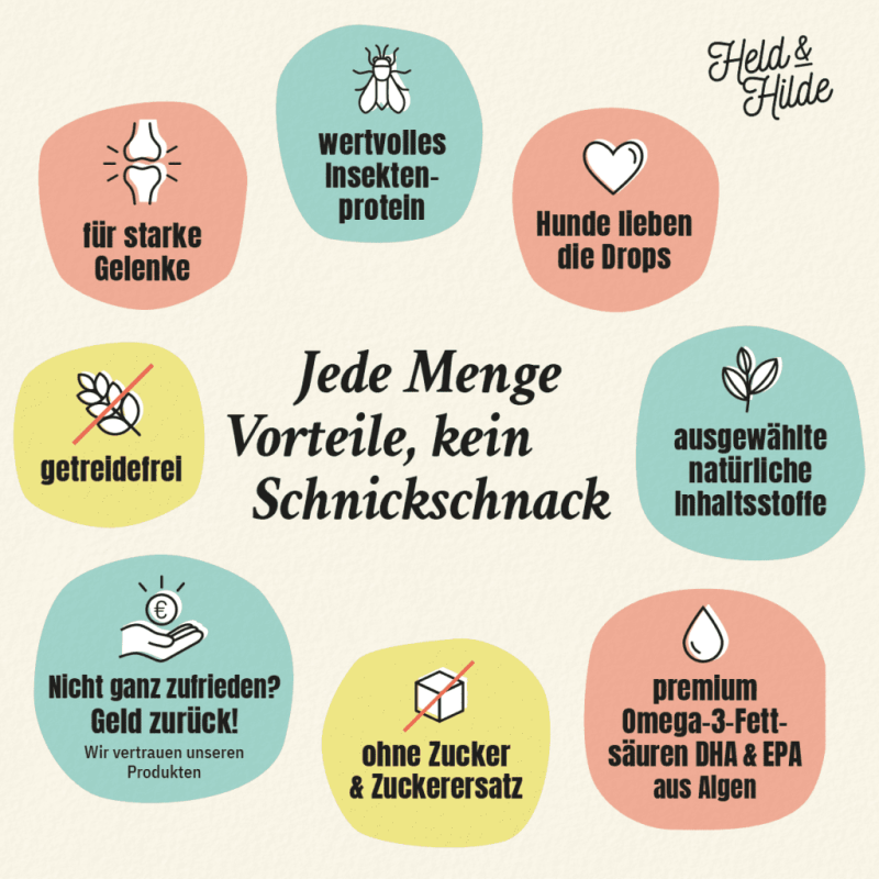 06-Gelenk-Schnickschnack