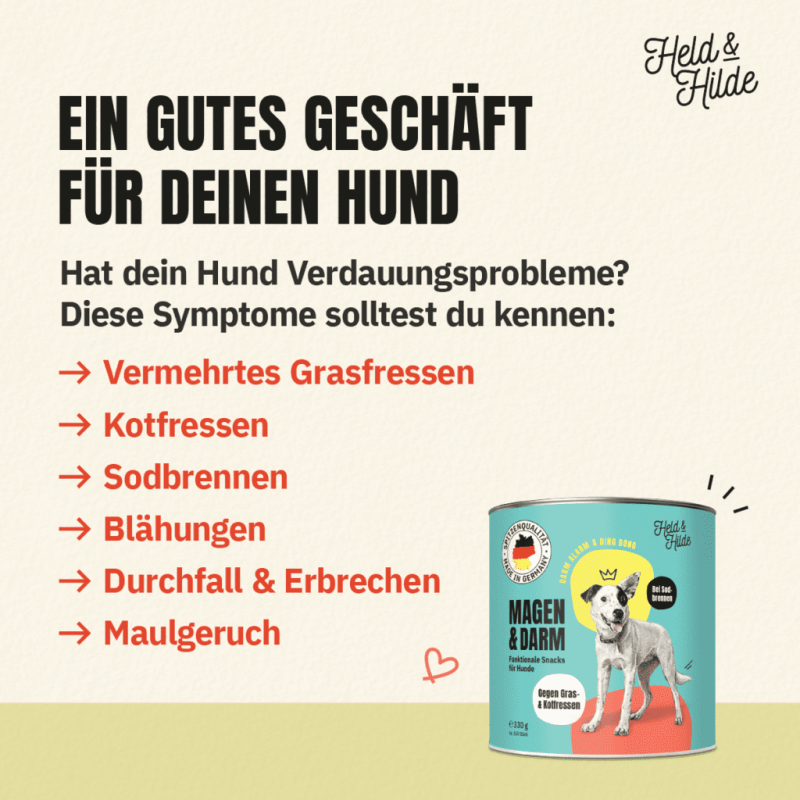 07_Darm-gutes-Geschaeft