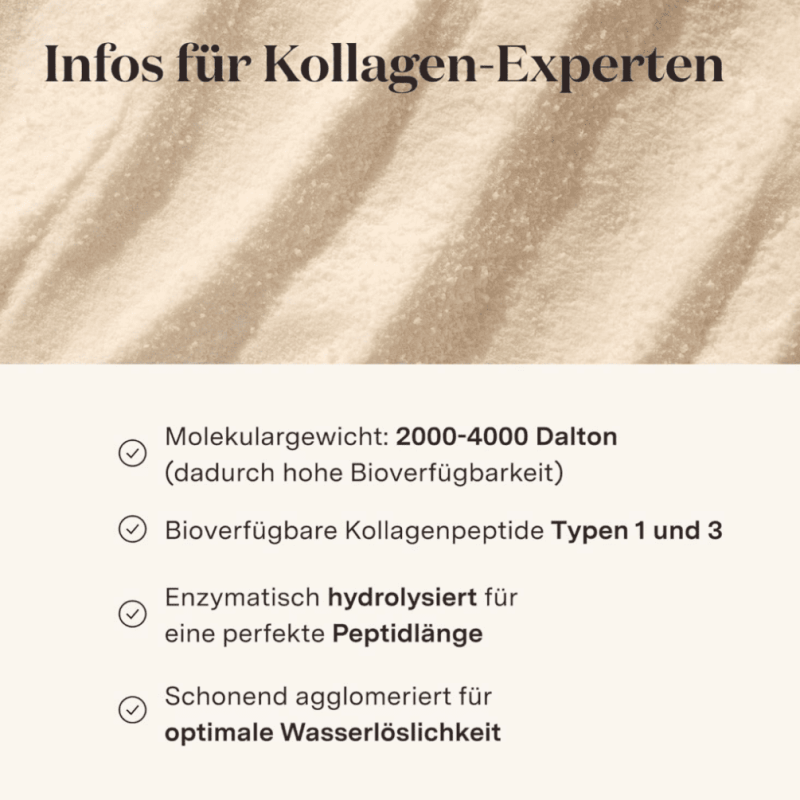 Bildschirmfoto 2025-03-24 um 12.19.08