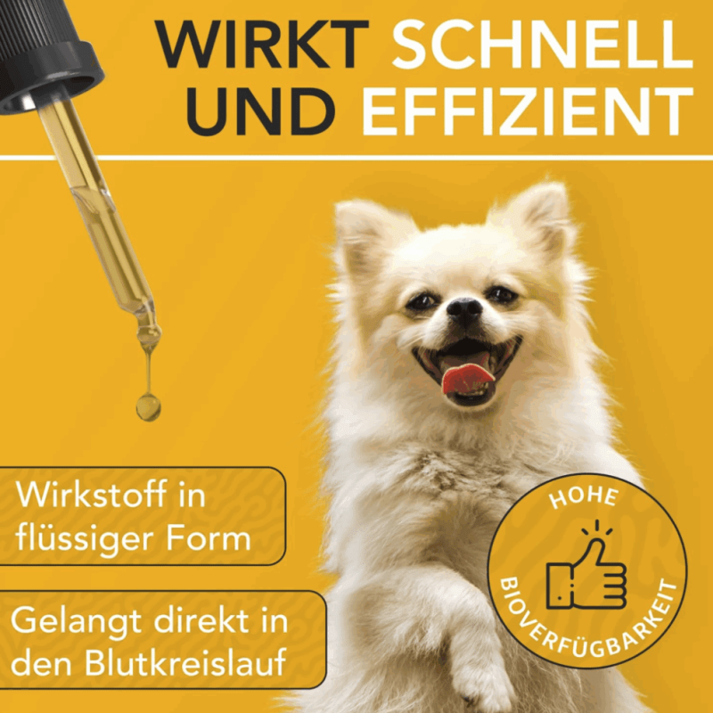 Bildschirmfoto 2025-04-25 um 18.43.44