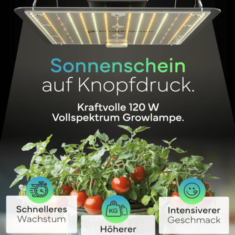 Bildschirmfoto 2025-06-05 um 18.56.10