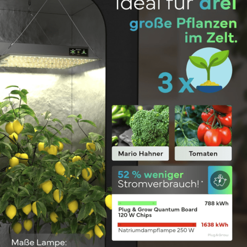 Bildschirmfoto 2025-06-05 um 18.56.27