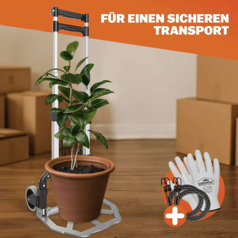 Bildschirmfoto 2025-09-02 um 15.59.52