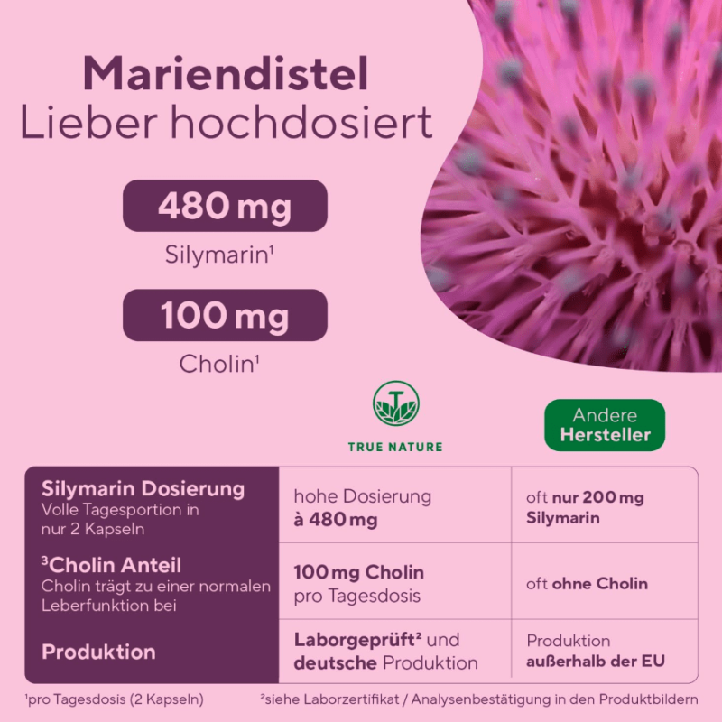 Bildschirmfoto 2025-12-07 um 15.11.48