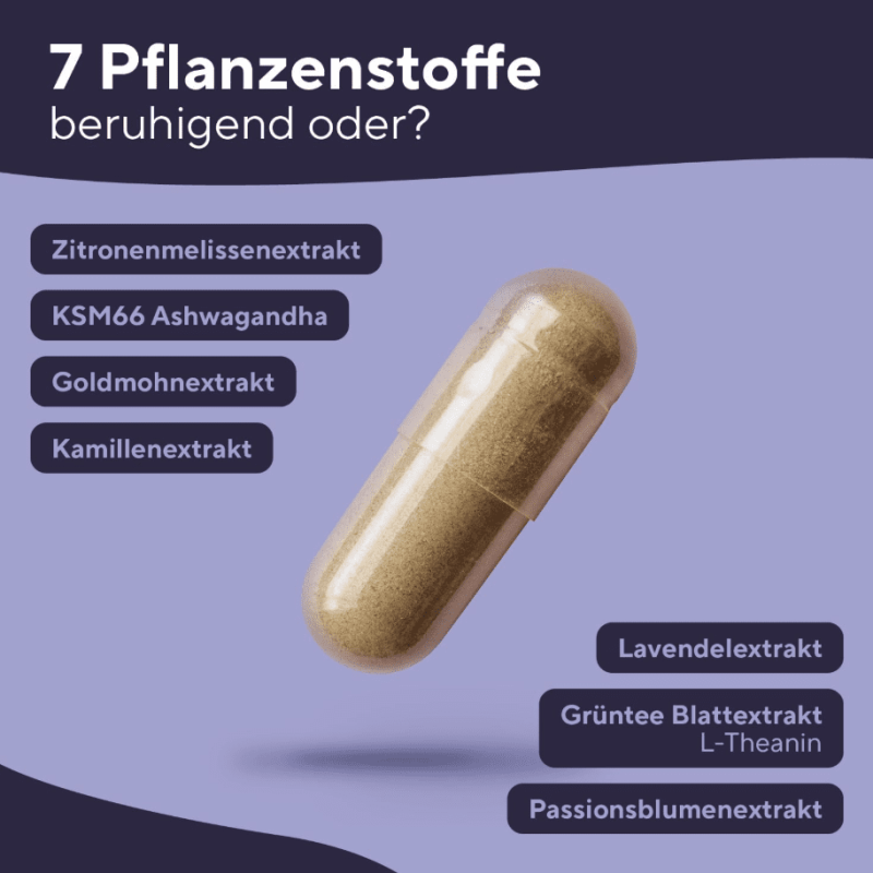 Bildschirmfoto 2025-12-07 um 21.46.46