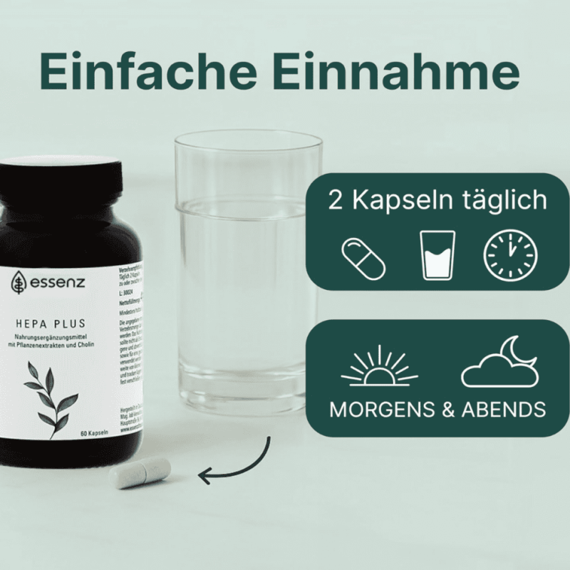 Bildschirmfoto 2025-12-12 um 15.45.57