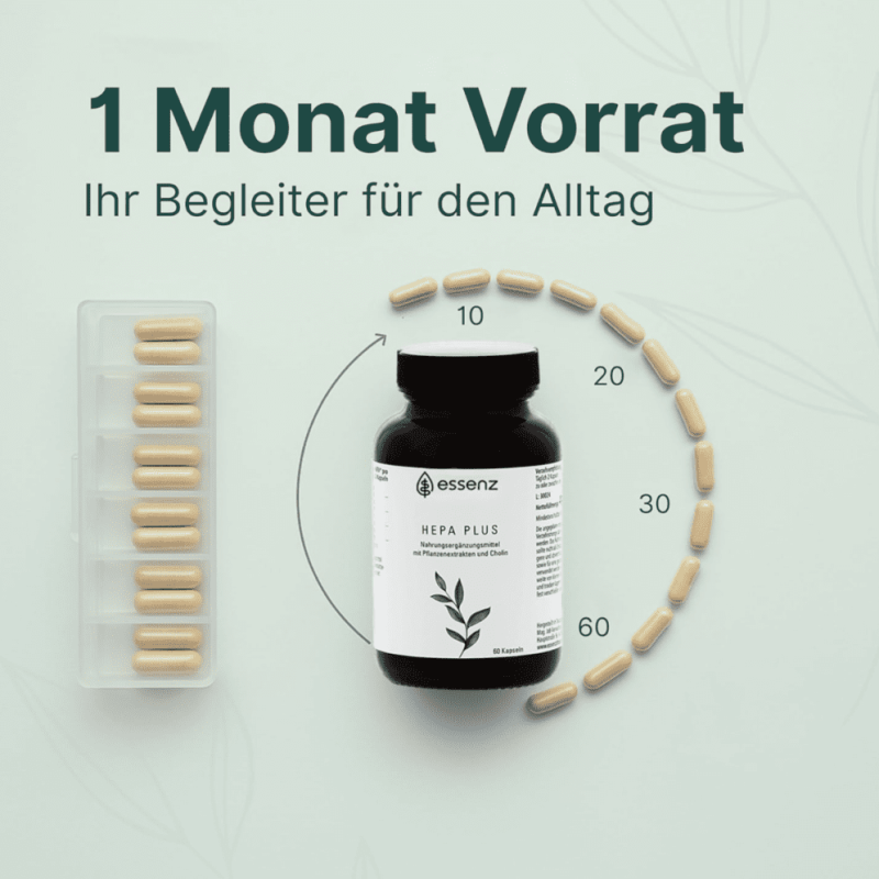 Bildschirmfoto 2025-12-12 um 15.46.04