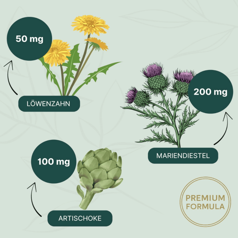 Bildschirmfoto 2025-12-12 um 15.46.11