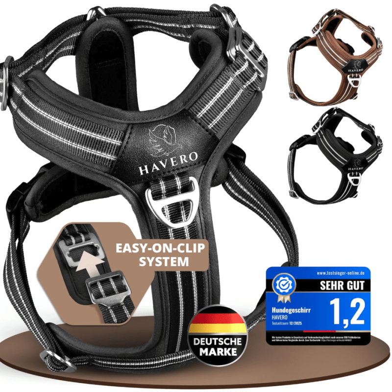 Bildschirmfoto 2026-01-11 um 20.28.30