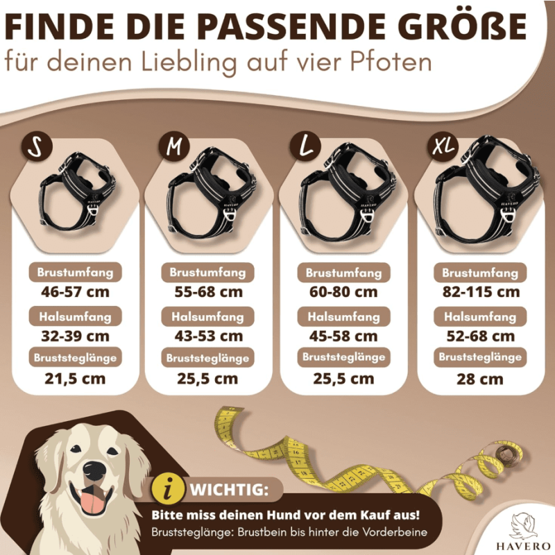 Bildschirmfoto 2026-01-11 um 20.28.44