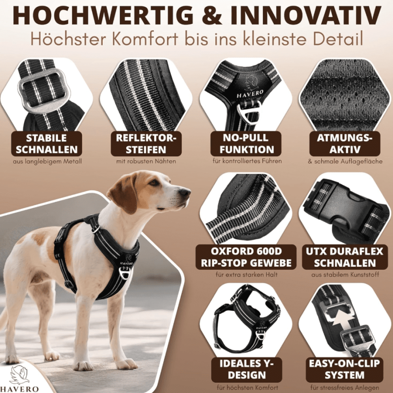 Bildschirmfoto 2026-01-11 um 20.29.06