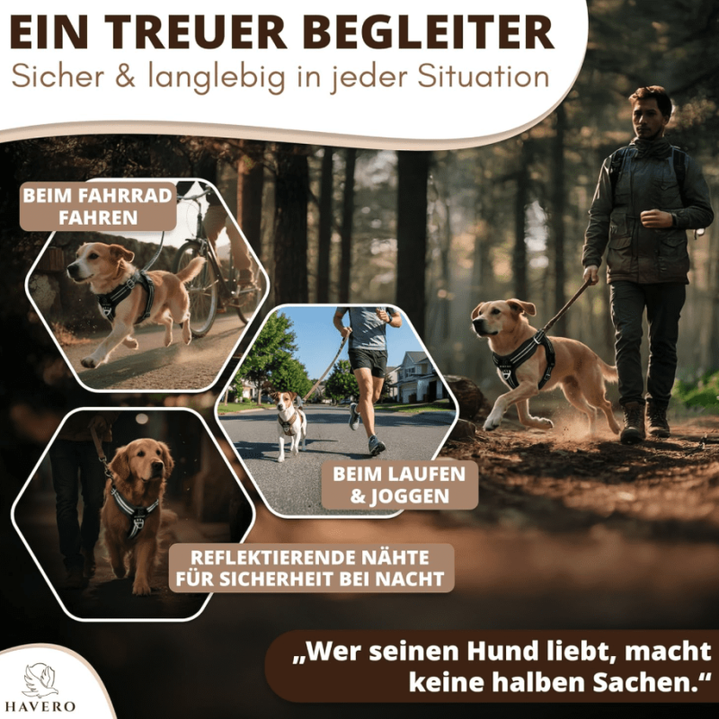 Bildschirmfoto 2026-01-11 um 20.29.19