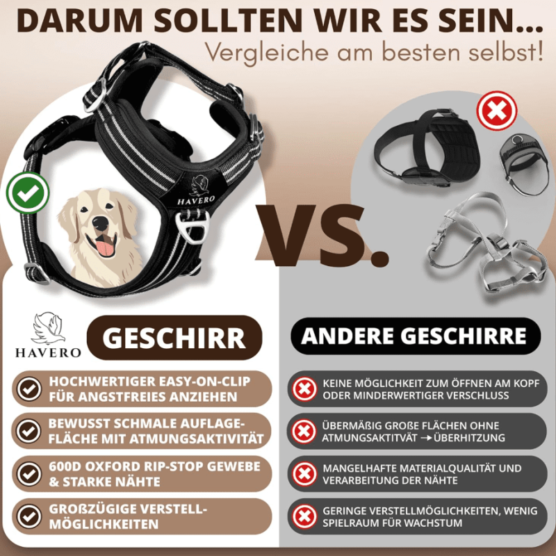 Bildschirmfoto 2026-01-11 um 20.29.29