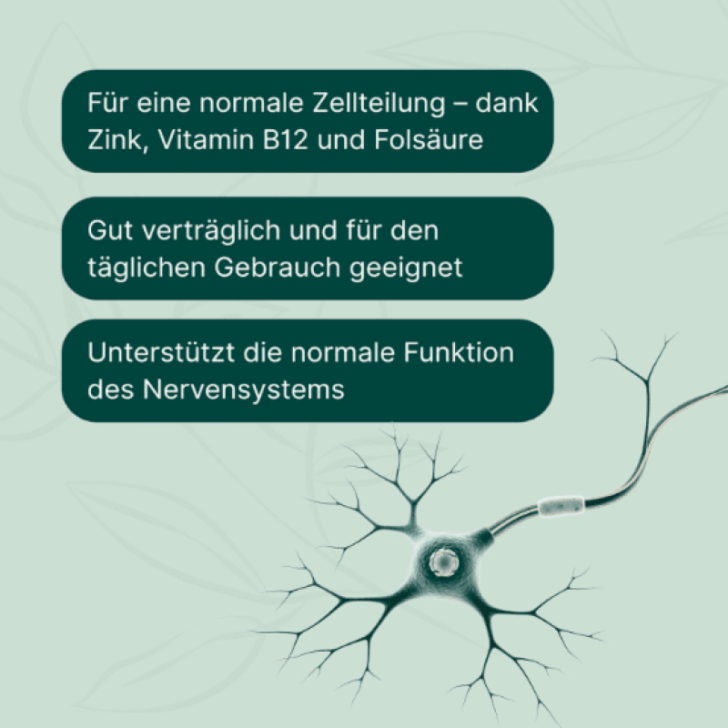 Bildschirmfoto 2026-02-09 um 17.43.29