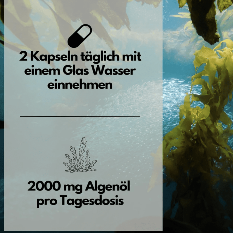 Bildschirmfoto 2026-03-06 um 14.31.13