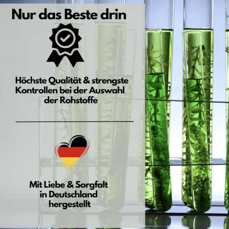 Bildschirmfoto 2026-03-06 um 14.31.47