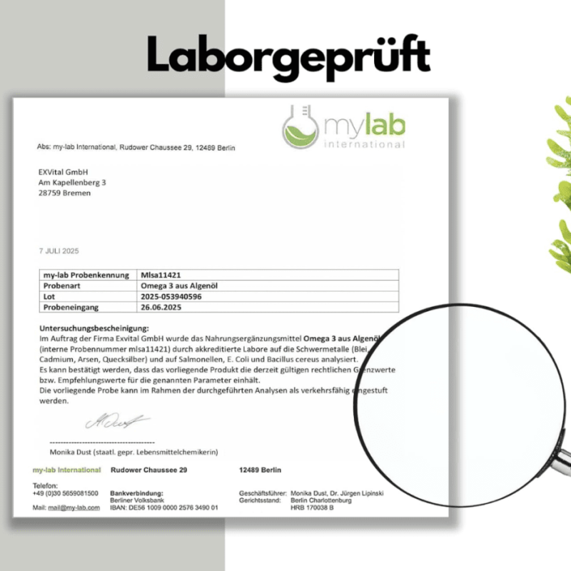 Bildschirmfoto 2026-03-06 um 14.32.19