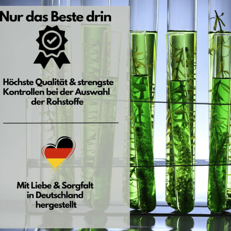 Bildschirmfoto 2026-04-29 um 12.18.35