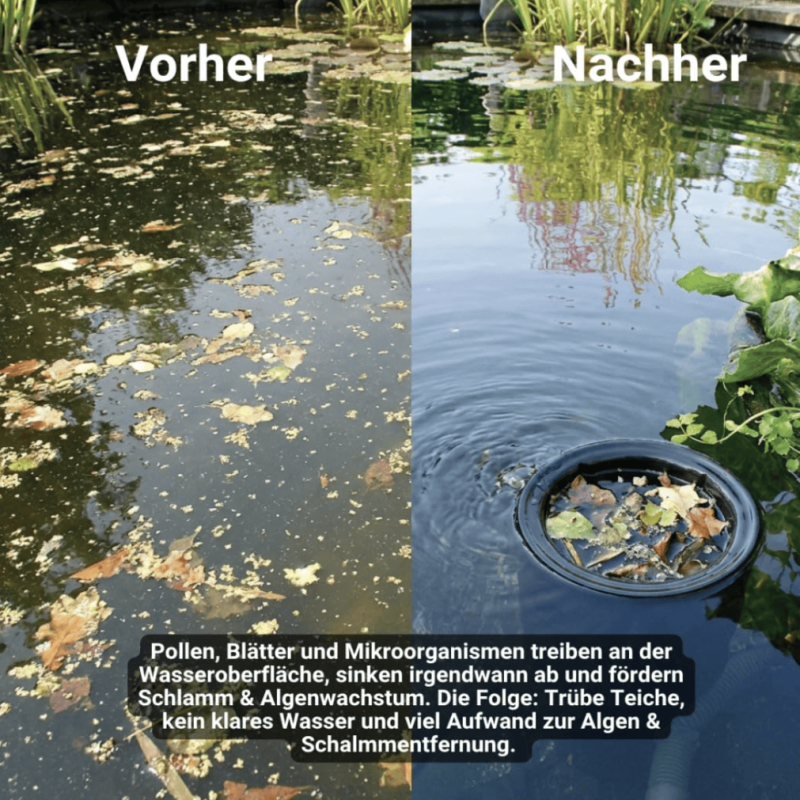 Bildschirmfoto 2026-07-06 um 14.38.28