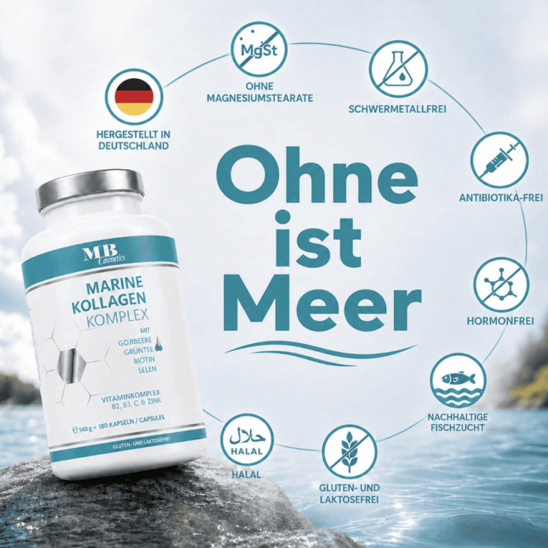 Bildschirm­foto 2026-08-06 um 11.03.58