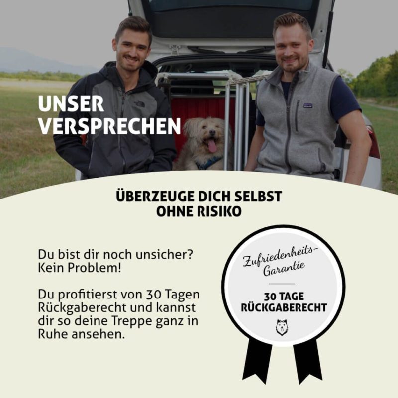 Fellbengel-Hundetreppe-Auto-13