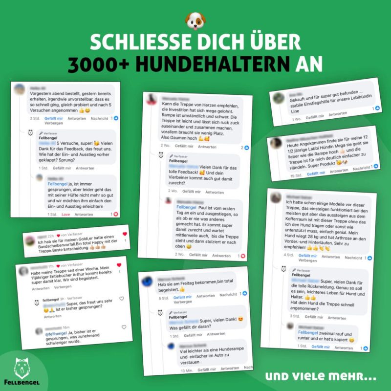 Fellbengel-Hundetreppe-Auto-Social-Trust-1