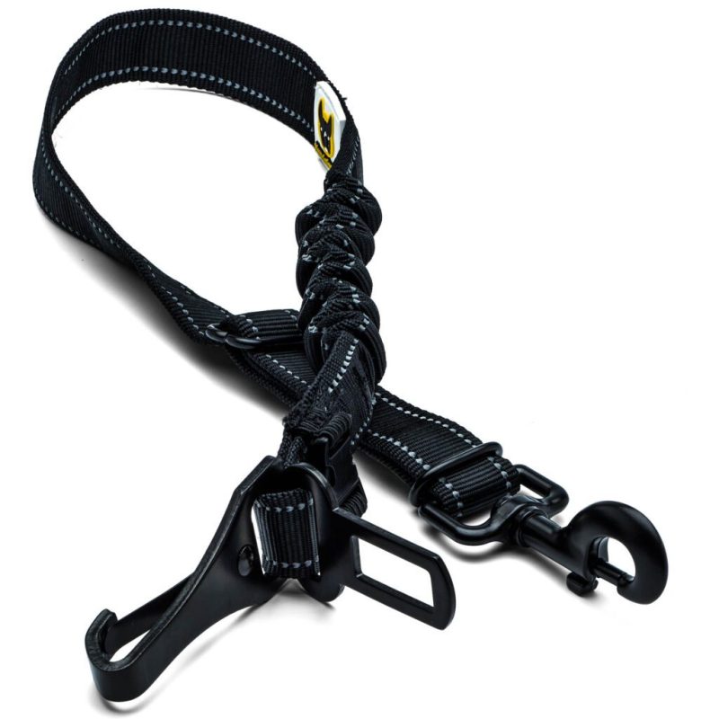 Hundefreunde-3-August20533