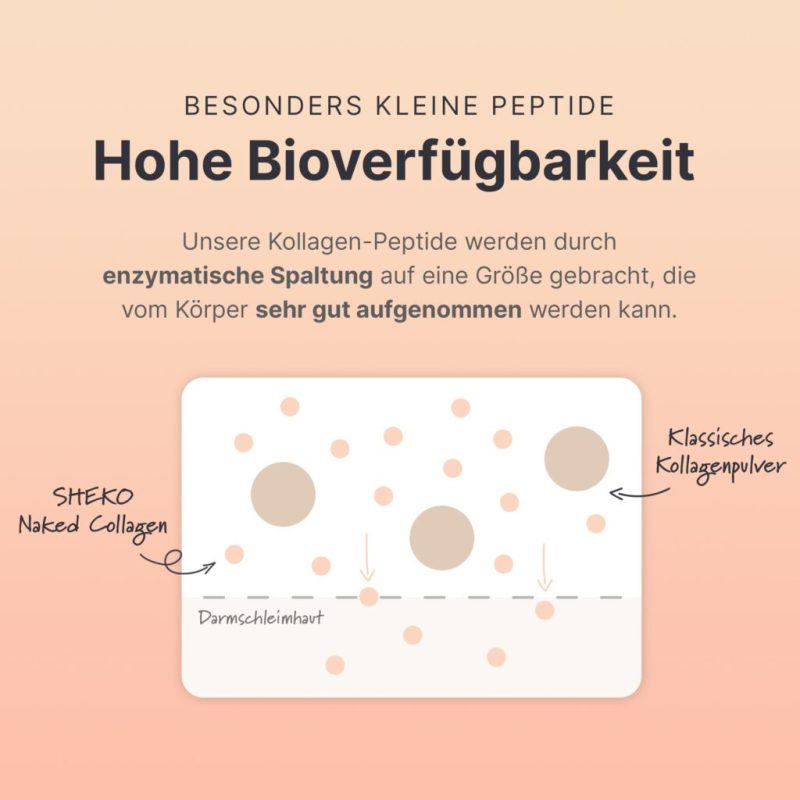 kollagen-bioverfuegbarkeit